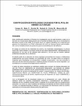 Imagen en miniatura